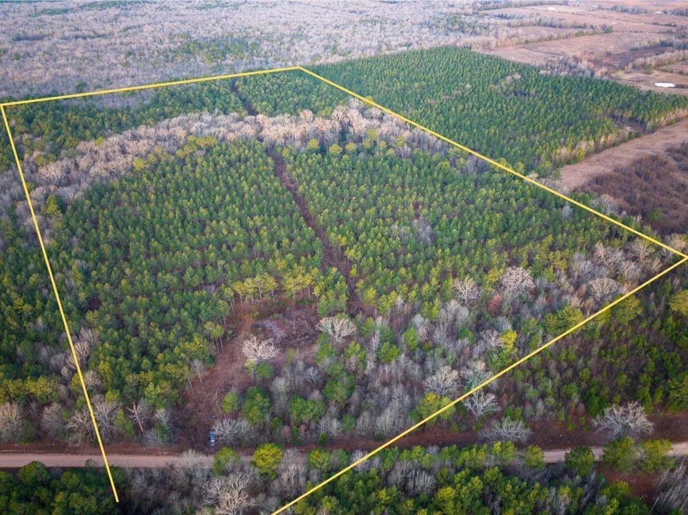 County Road 4320 De Kalb, TX 75559