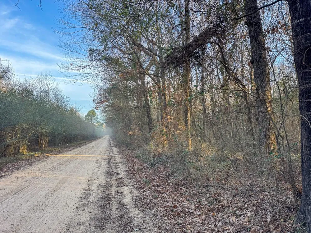 County Road 4320 De Kalb, TX 75559