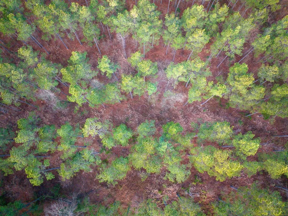 County Road 4320 De Kalb, TX 75559