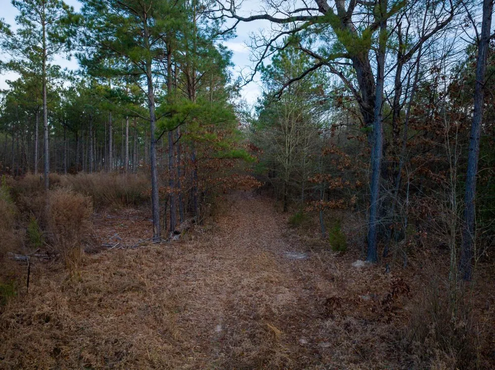 County Road 4320 De Kalb, TX 75559