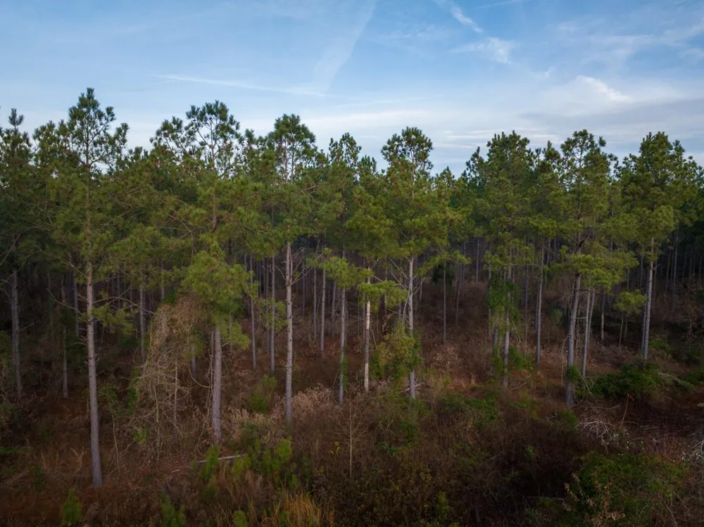 County Road 4320 De Kalb, TX 75559