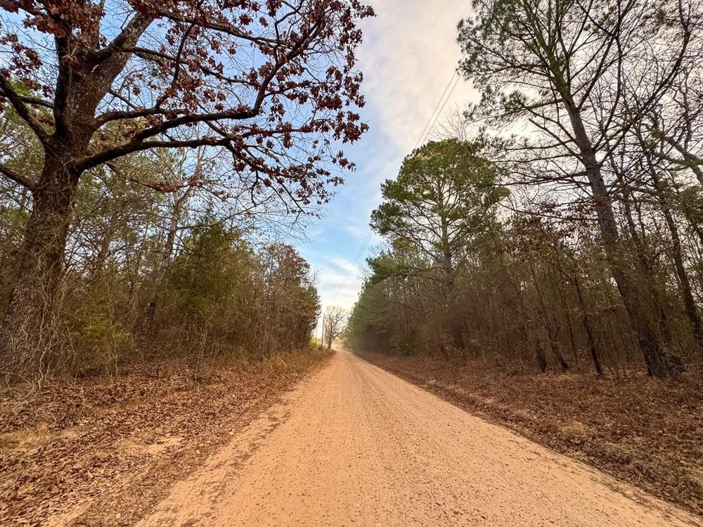 County Road 4320 De Kalb, TX 75559