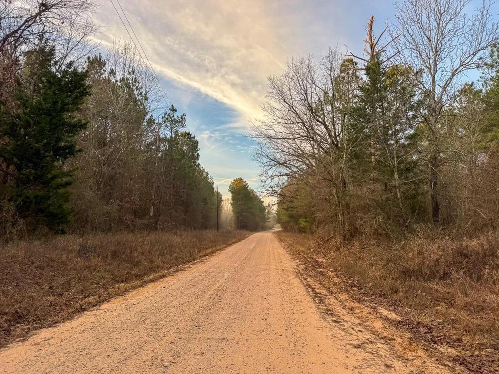 County Road 4320 De Kalb, TX 75559