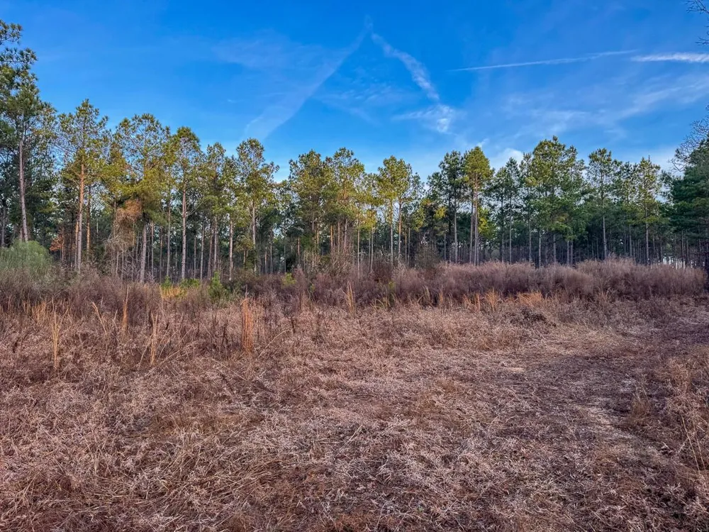 County Road 4320 De Kalb, TX 75559