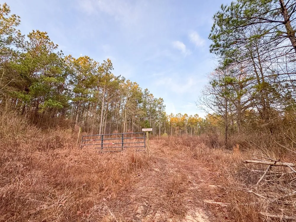 County Road 4320 De Kalb, TX 75559