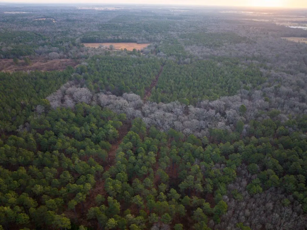 County Road 4320 De Kalb, TX 75559