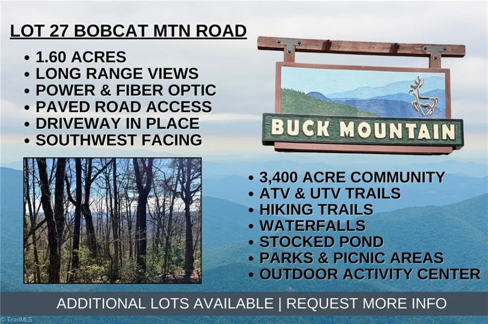 Lot 27 Bobcat Mountain Road Purlear, NC 28665
