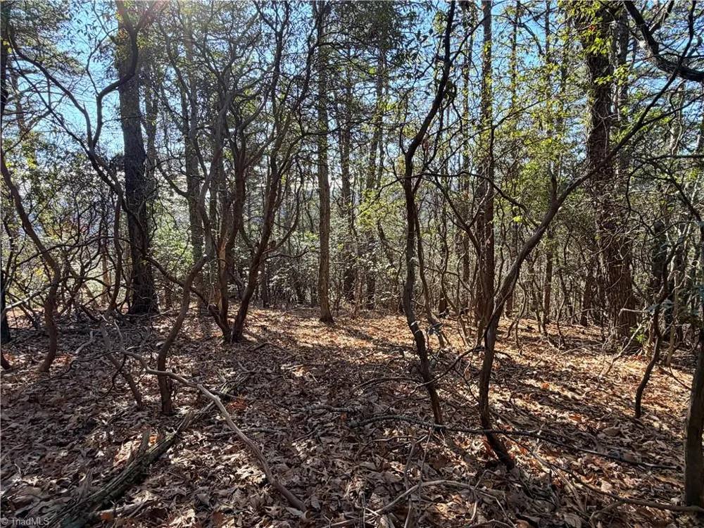 Lot 27 Bobcat Mountain Road Purlear, NC 28665