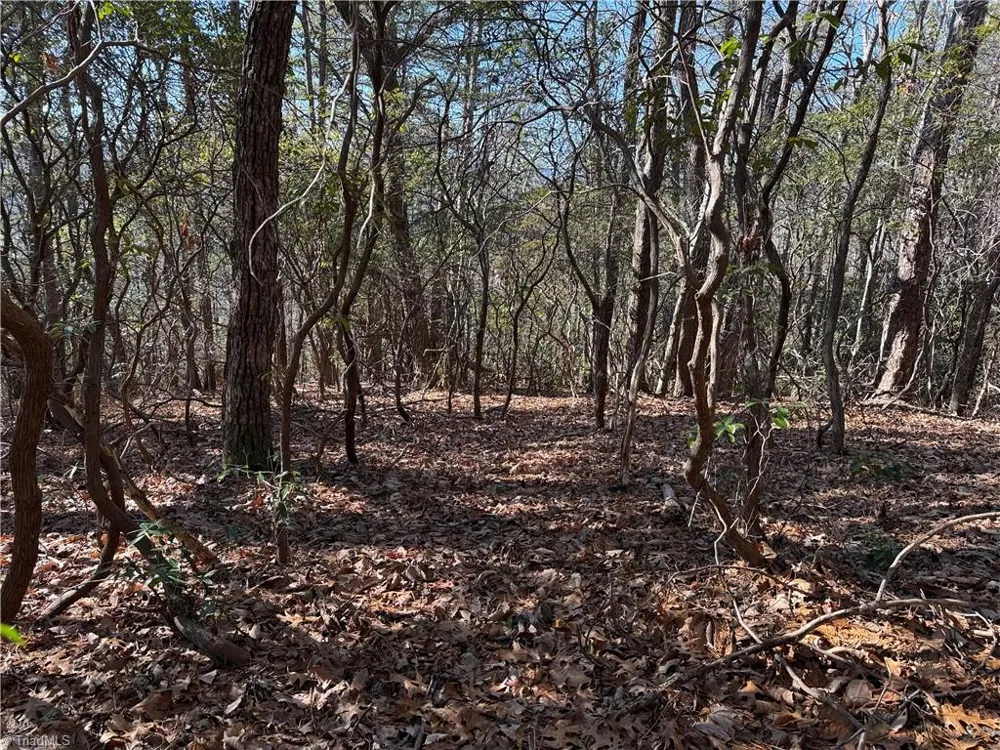 Lot 27 Bobcat Mountain Road Purlear, NC 28665