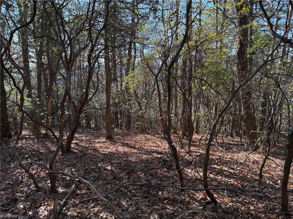 Lot 27 Bobcat Mountain Road Purlear, NC 28665