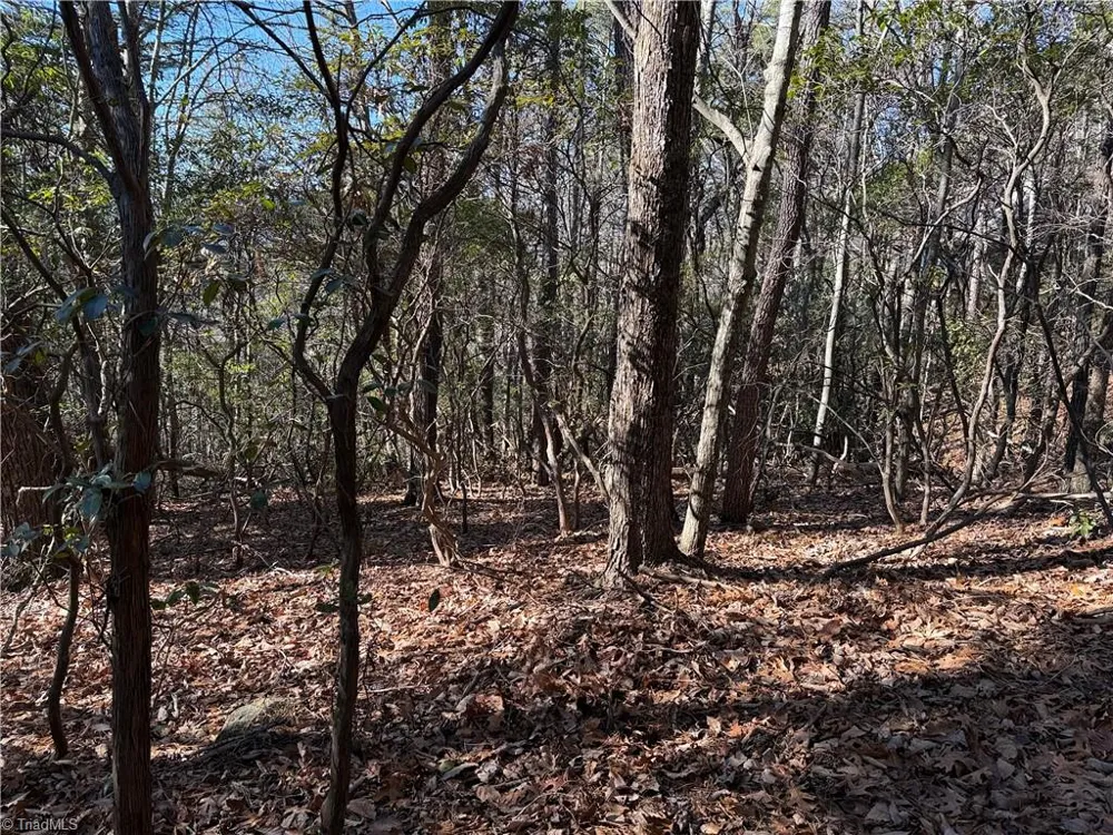 Lot 27 Bobcat Mountain Road Purlear, NC 28665