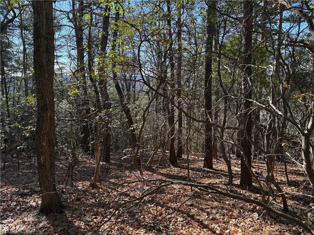 Lot 27 Bobcat Mountain Road Purlear, NC 28665