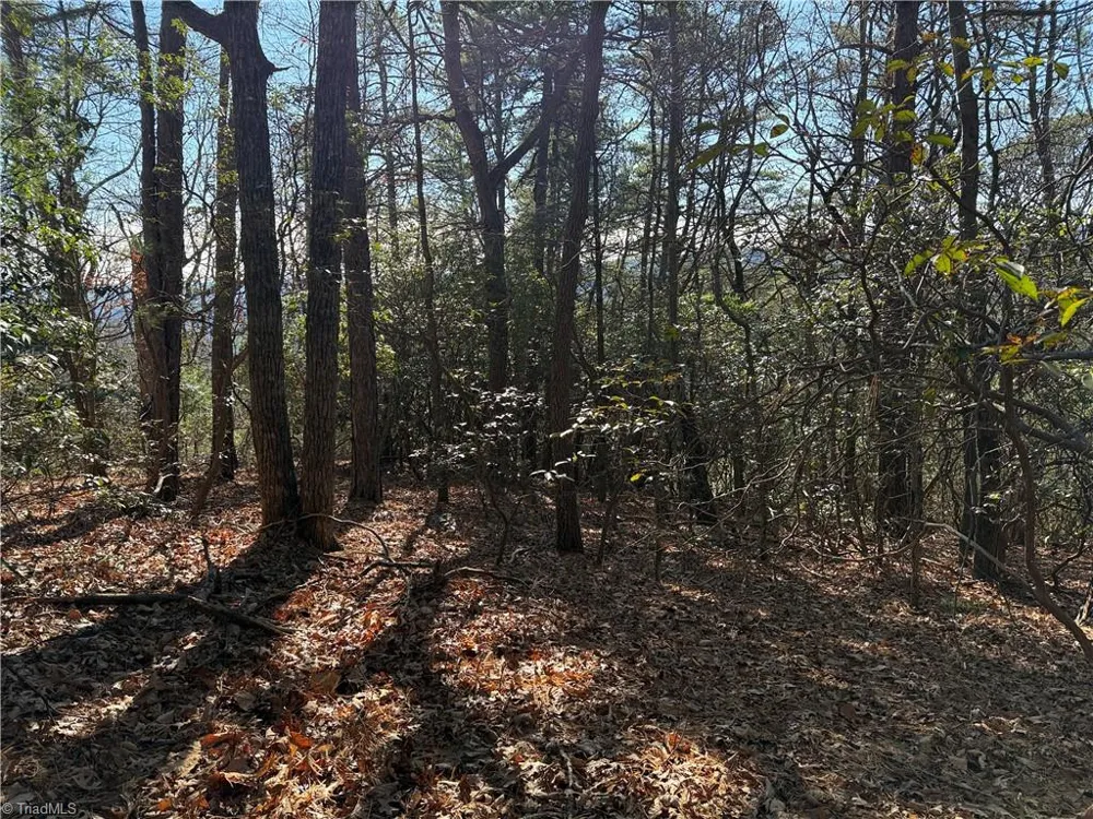 Lot 27 Bobcat Mountain Road Purlear, NC 28665