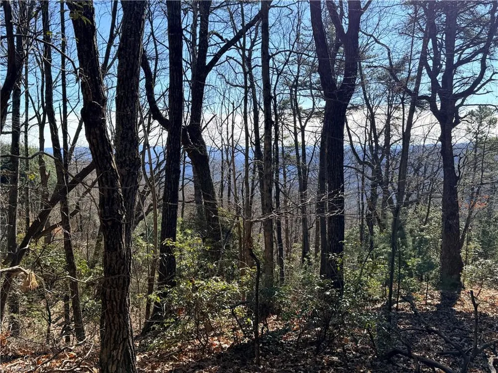 Lot 27 Bobcat Mountain Road Purlear, NC 28665