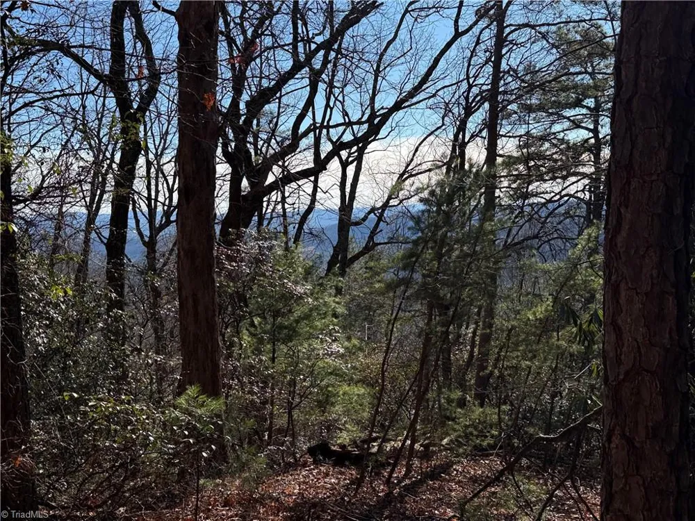 Lot 27 Bobcat Mountain Road Purlear, NC 28665