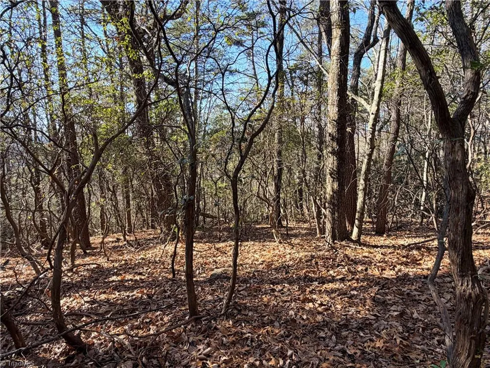 Lot 27 Bobcat Mountain Road Purlear, NC 28665