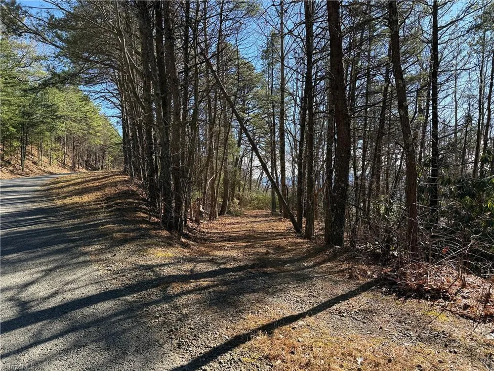 Lot 27 Bobcat Mountain Road Purlear, NC 28665