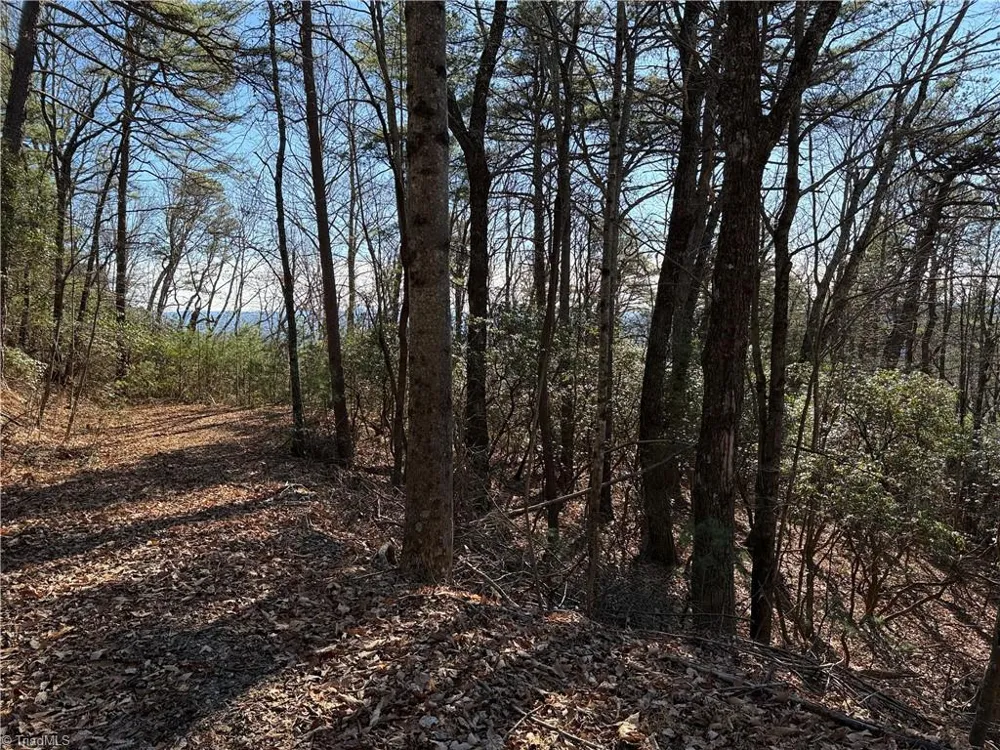 Lot 27 Bobcat Mountain Road Purlear, NC 28665