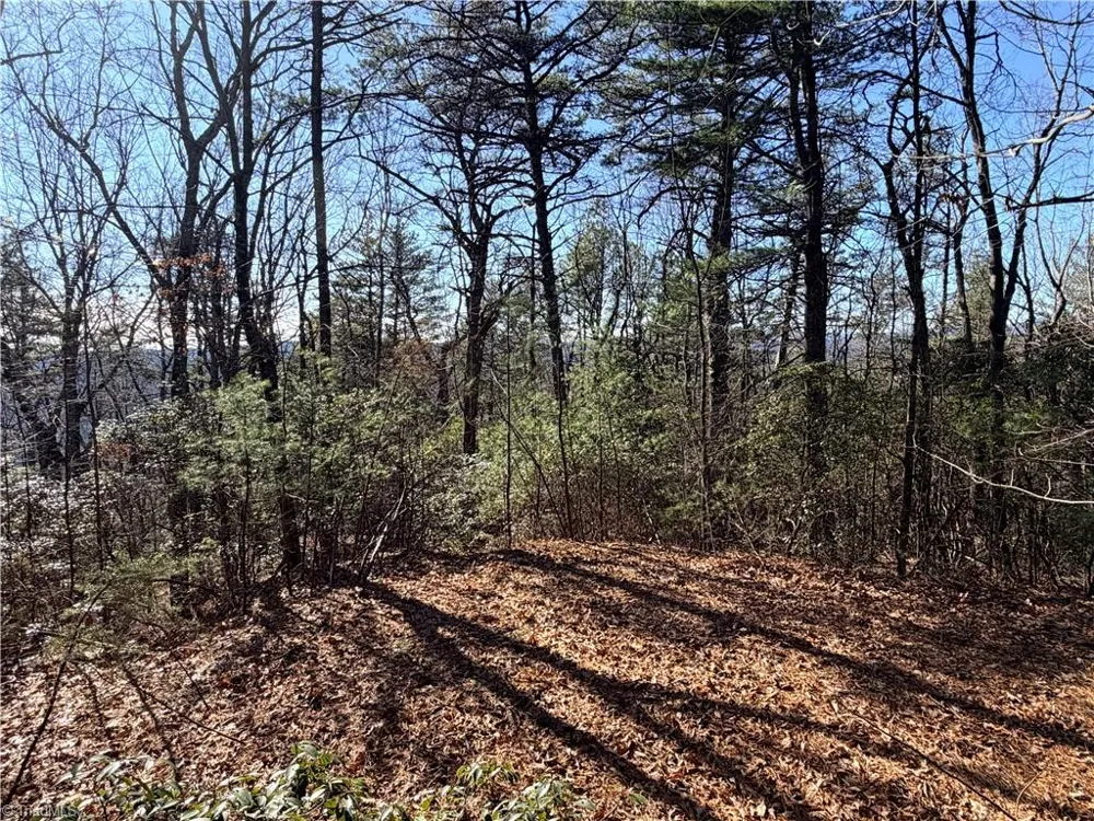 Lot 27 Bobcat Mountain Road Purlear, NC 28665