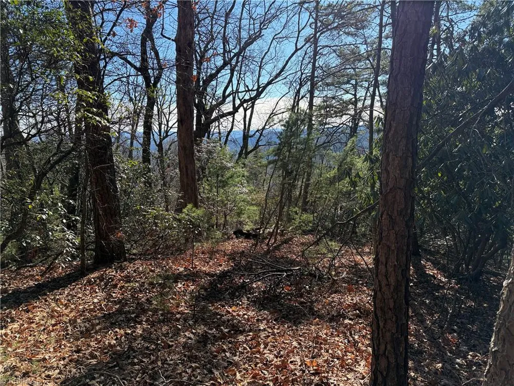 Lot 27 Bobcat Mountain Road Purlear, NC 28665