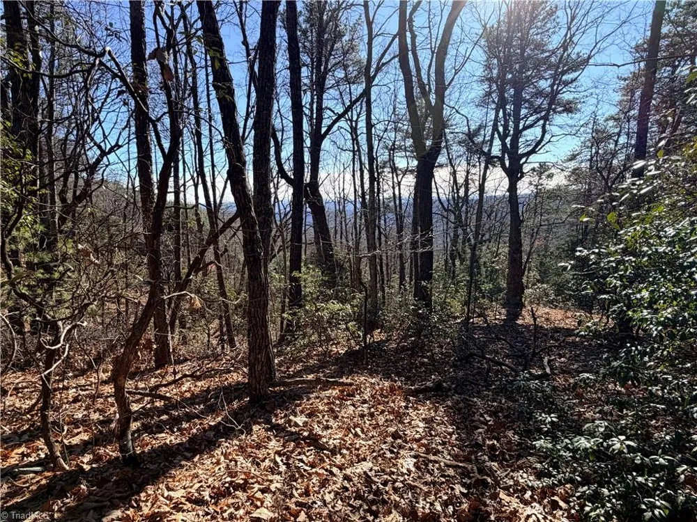 Lot 27 Bobcat Mountain Road Purlear, NC 28665
