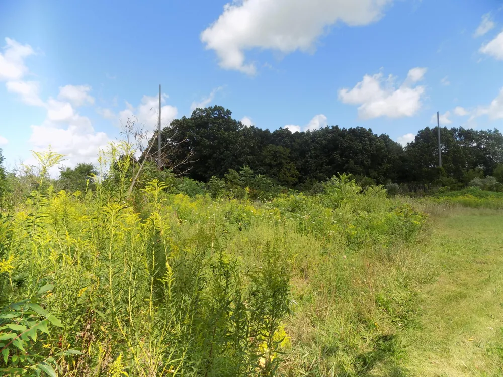 Mountain Road Coloma, MI 49038