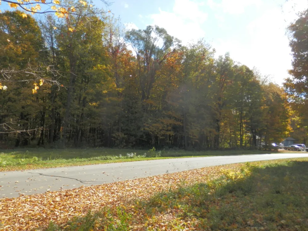21 Harlan Drive Watervliet, MI 49098