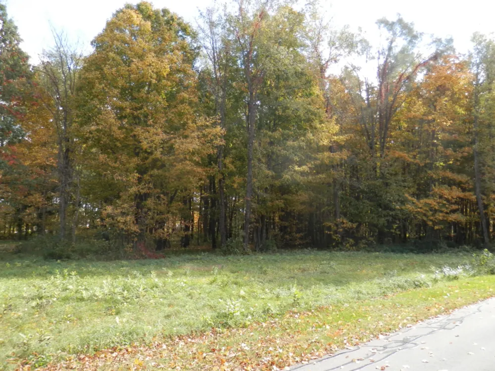 21 Harlan Drive Watervliet, MI 49098