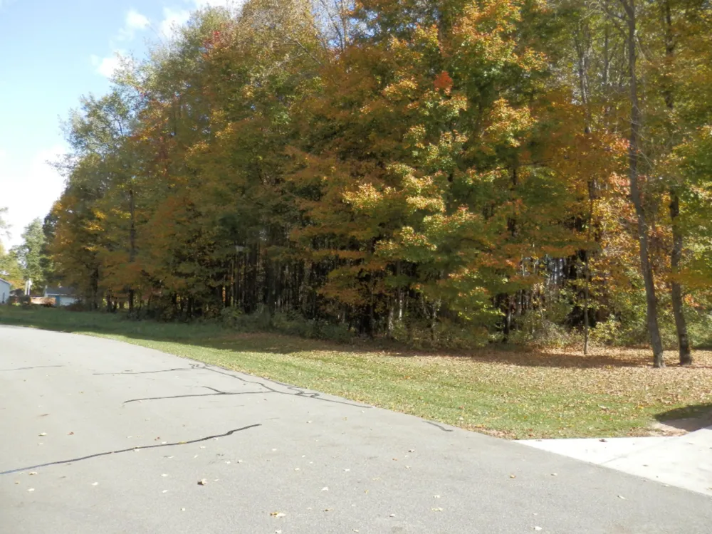 21 Harlan Drive Watervliet, MI 49098