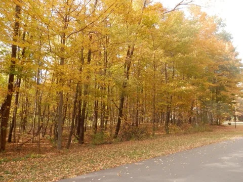 1 Harlan Drive