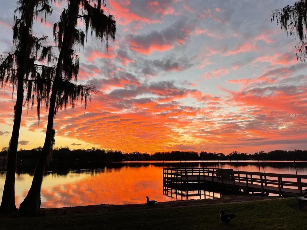 1100 E BAY DRIVE #35 Largo, FL 33770