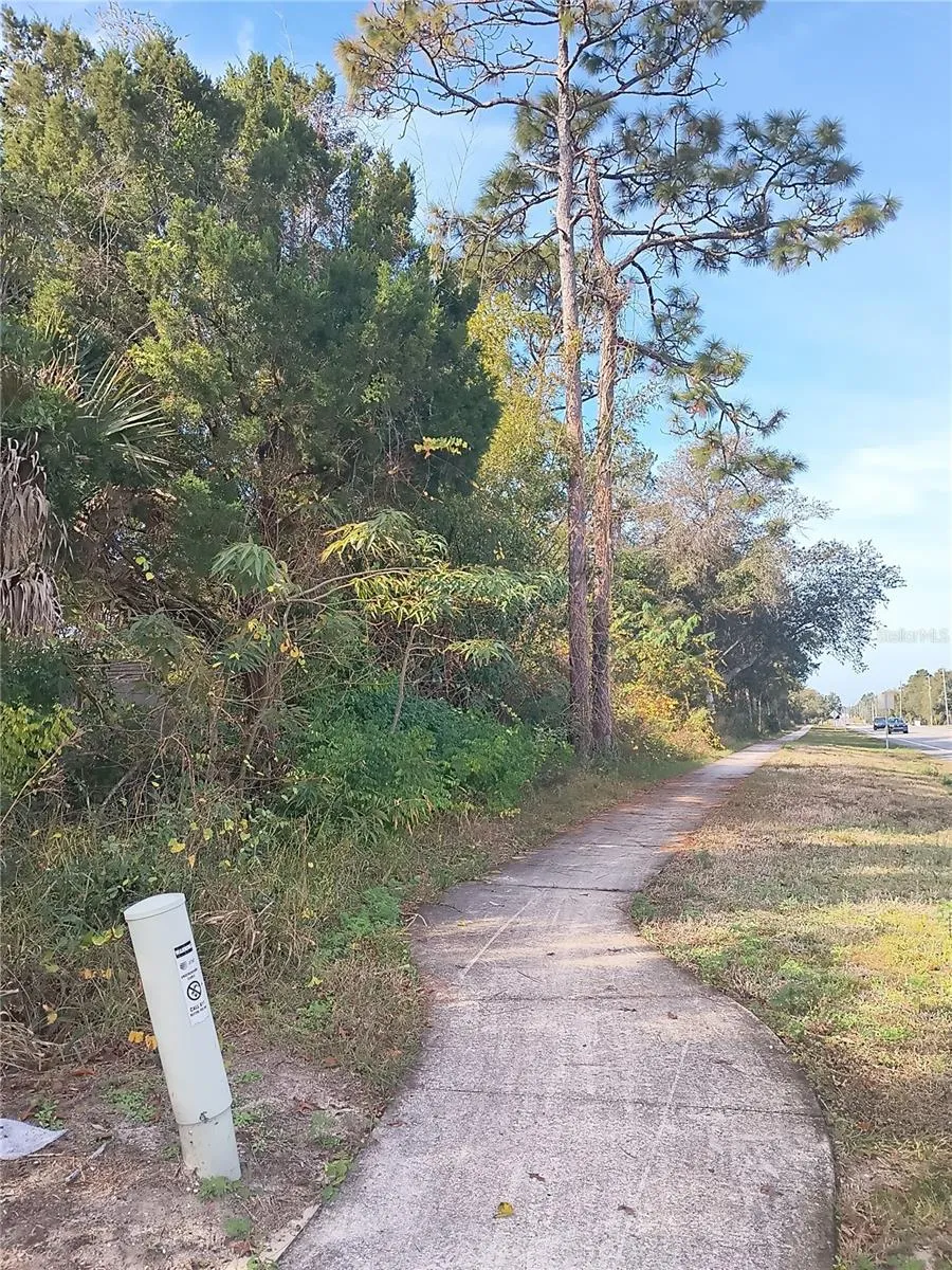 0 DOYLE ROAD Deltona, FL 32738