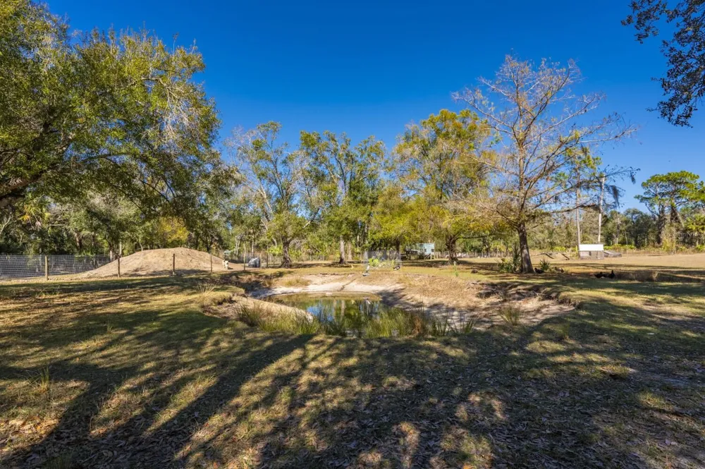 2207 SW BLOSSOM AVENUE Arcadia, FL 34266