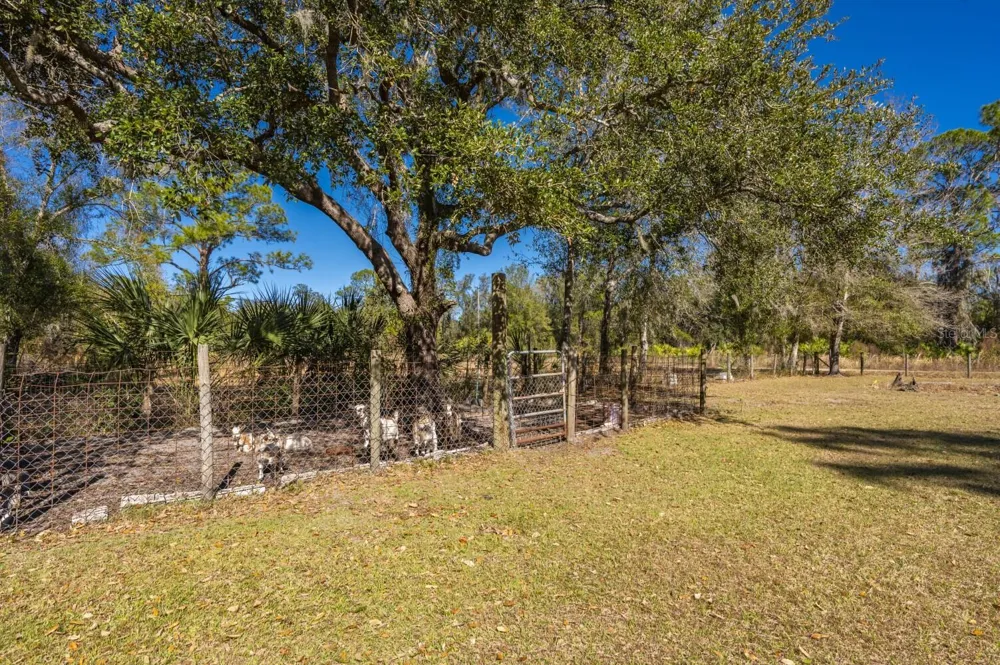 2207 SW BLOSSOM AVENUE Arcadia, FL 34266