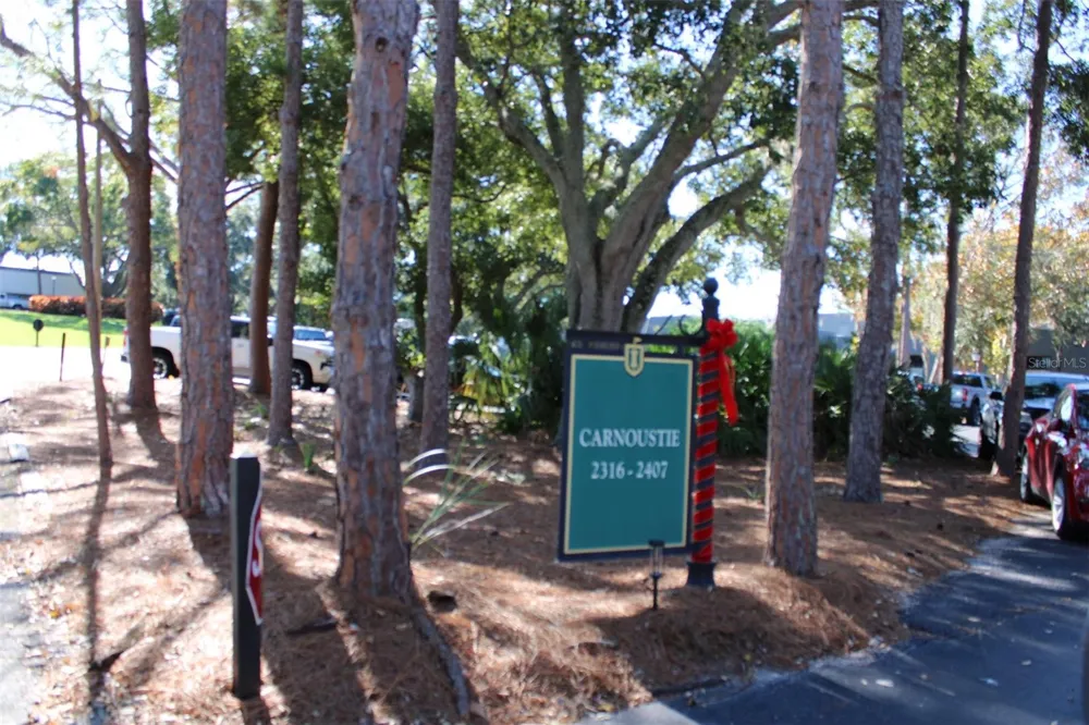 36750 US HIGHWAY 19 #3-203 Palm Harbor, FL 34683