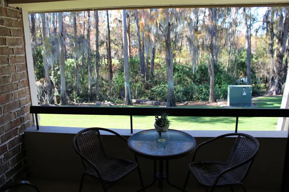 36750 US HIGHWAY 19 #3-203 Palm Harbor, FL 34683