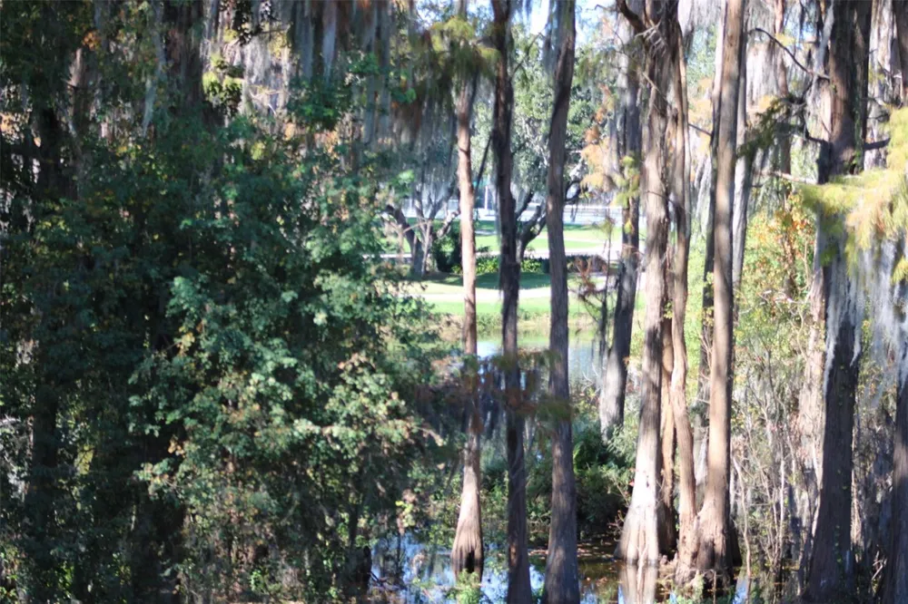 36750 US HIGHWAY 19 #3-203 Palm Harbor, FL 34683