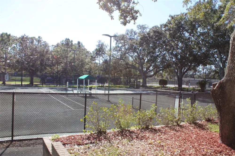 36750 US HIGHWAY 19 #3-203 Palm Harbor, FL 34683