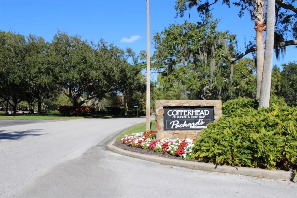 36750 US HIGHWAY 19 #3-203 Palm Harbor, FL 34683