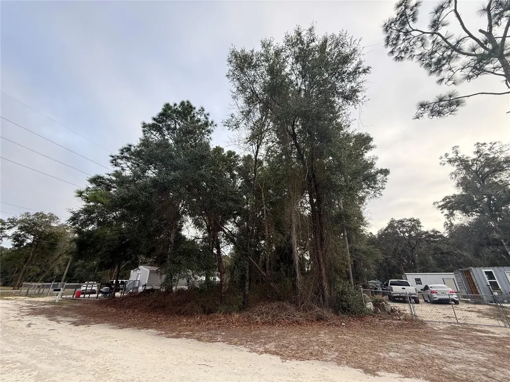 SE 147 PLACE Summerfield, FL 34491