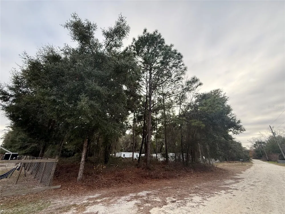 SE 147 PLACE Summerfield, FL 34491
