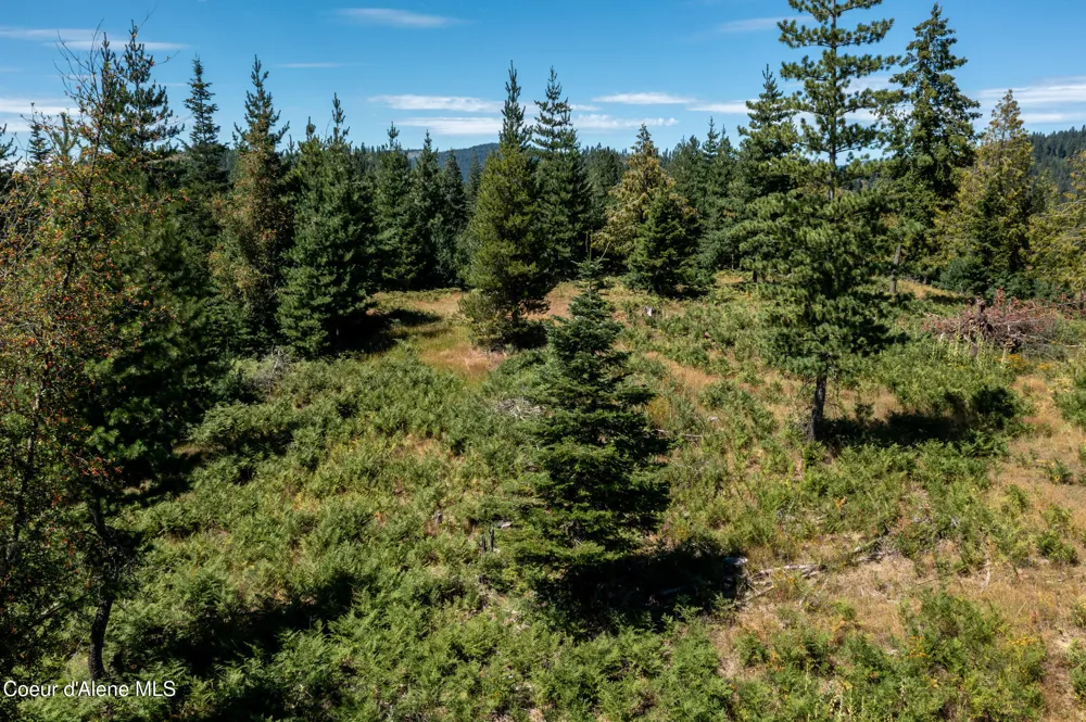 NNA Frosty Lane Lot I Pinehurst, ID 83850