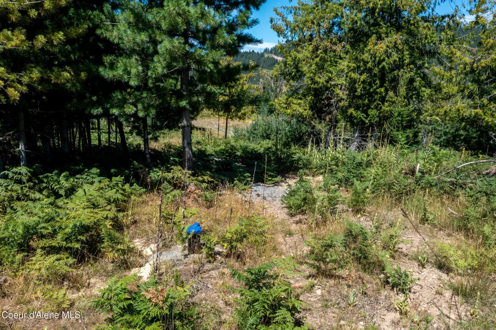 NNA Frosty Lane Lot I Pinehurst, ID 83850