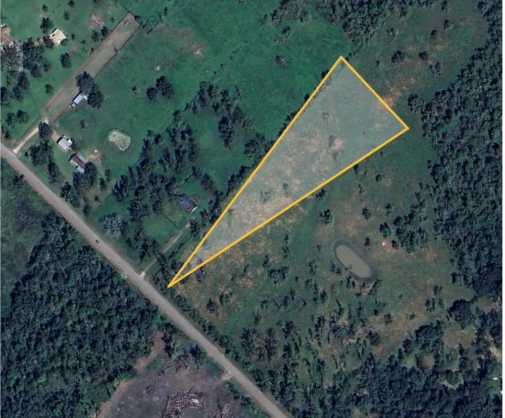 County Road 729 Brazoria, TX 77422