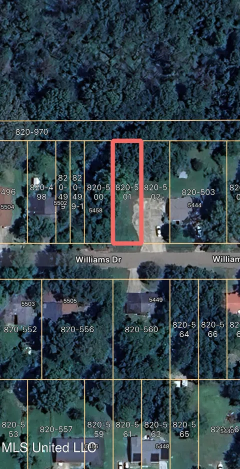 Lot 21 Williams Street