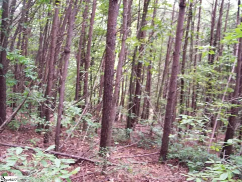 343 Gauley Falls Road #Lot 87 Gauley Falls