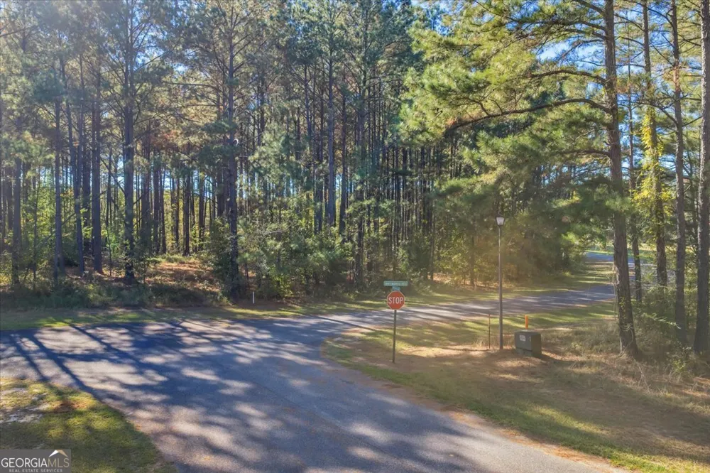 LOT 16 Sweet Magnolia CIR Dublin, GA 31021