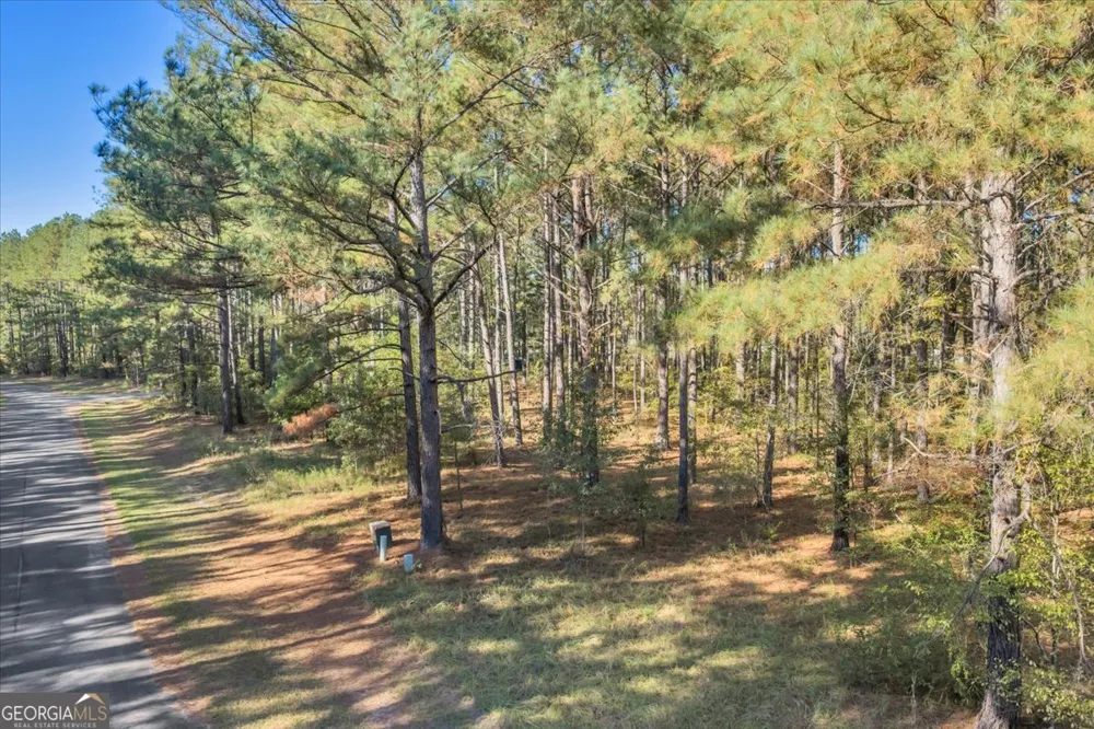 LOT 16 Sweet Magnolia CIR Dublin, GA 31021