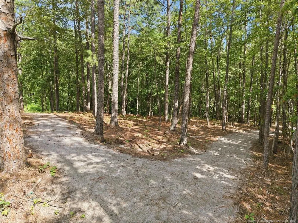 309 Elijah Way Vass, NC 28394
