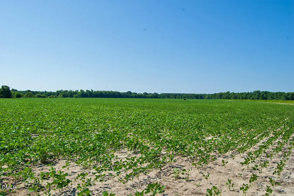 2 Nc Highway 33 Tarboro, NC 27886